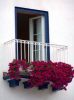 913068_balcony.jpg